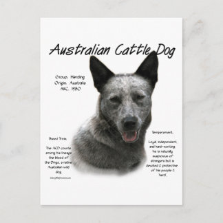 Blue Australian Cattle Dog History; Blue ACD Postcard