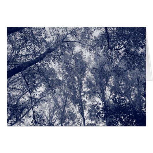 Blue Autumn (Front Horizontal)