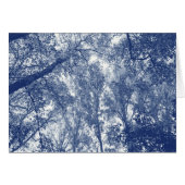 Blue Autumn - Cyanotype Effect (Front Horizontal)