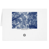 Blue Autumn - Cyanotype Effect Cards (Back Horizontal)