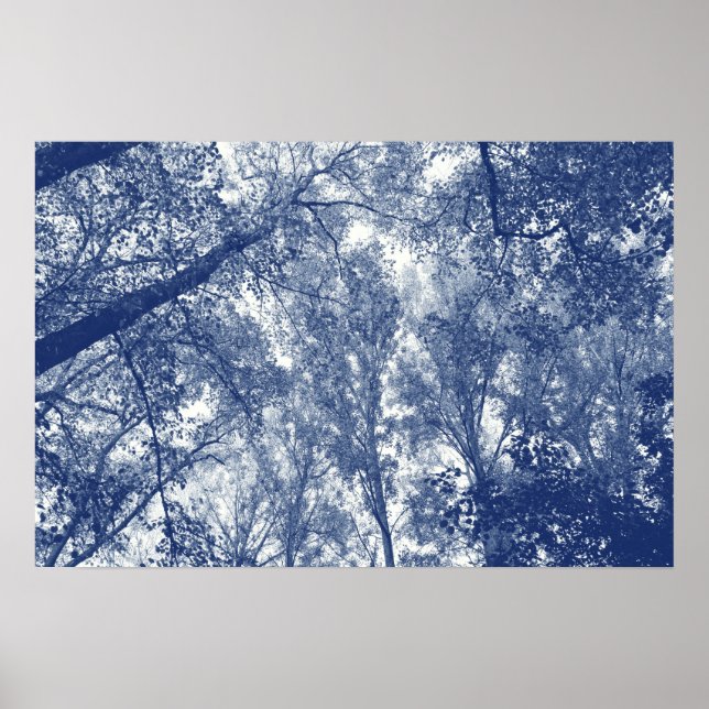 Blue Autumn - Cyanotype Effect Poster (Front)