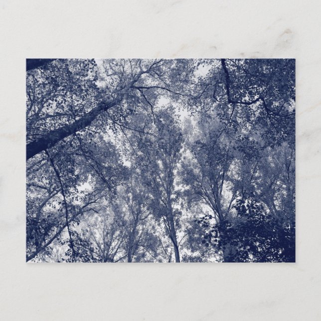 Blue Autumn Postcard (Front)