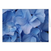 Blue Babies Cards (Front Horizontal)