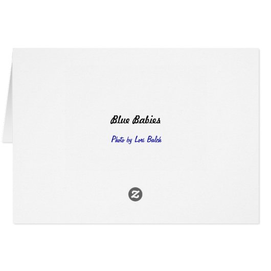 Blue Babies Cards (Back Horizontal)