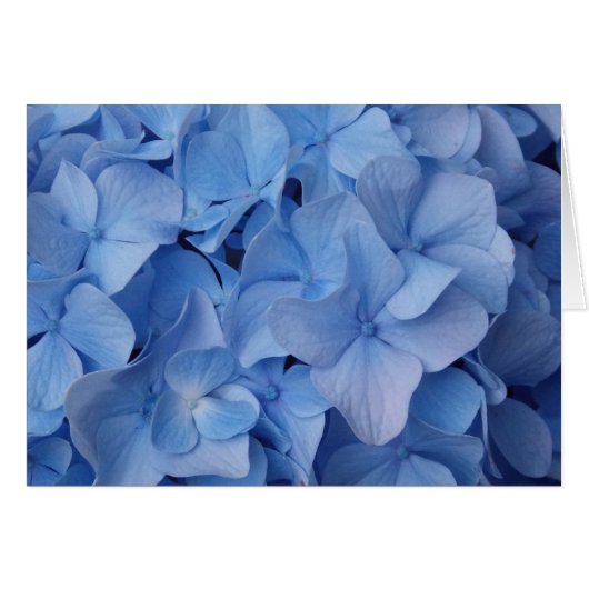 Blue Babies, Too (Front Horizontal)