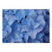 Blue Babies, Too Cards (Front Horizontal)