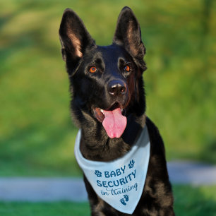 Blue Baby Security is Training Pet Bandana Collar