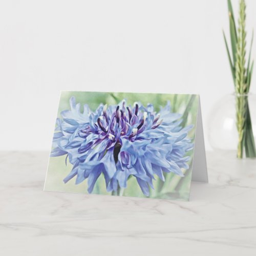 Blue Bachelor Button Blank Note Card