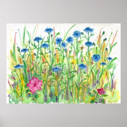 Blue Bachelor Button Cornflower Watercolor Art Poster