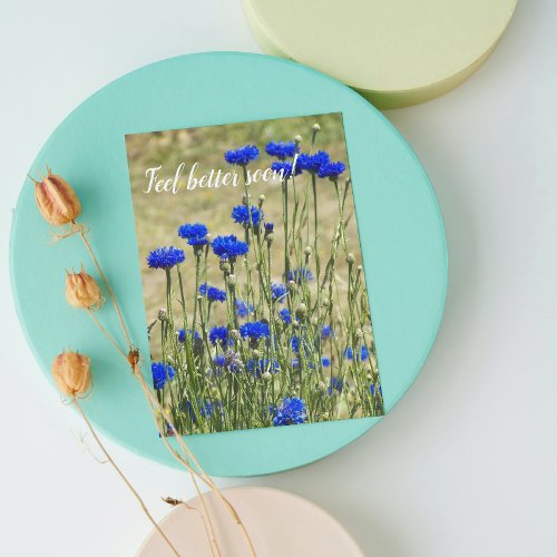 Blue Bachelor Buttons Floral Get Well Card