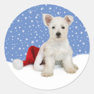 Blue Background Let It Snow Stickers