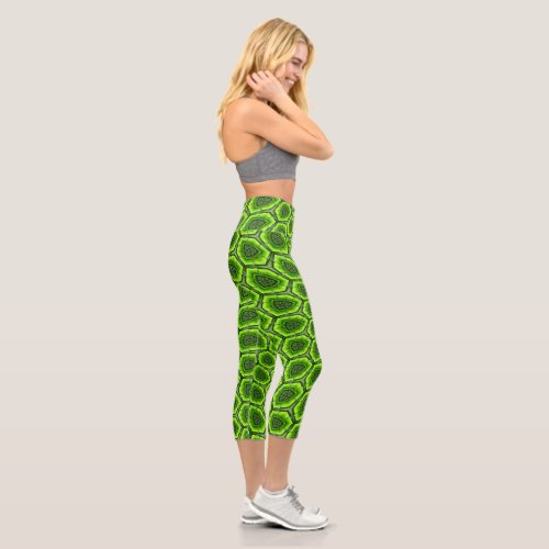 Blue Bamboo Pattern Capri Leggings