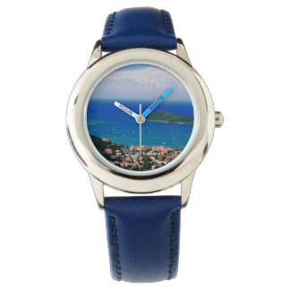 Blue-banded Watch with Island Scene
