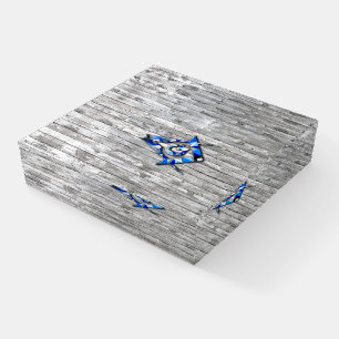 Blue Barn Quilt Square Compass Paperweight