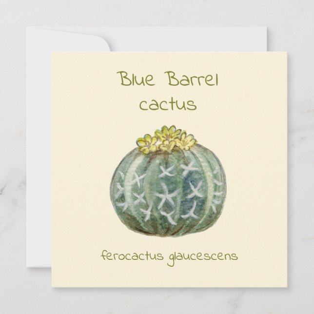 Blue Barrel cactus greeting card (Front)