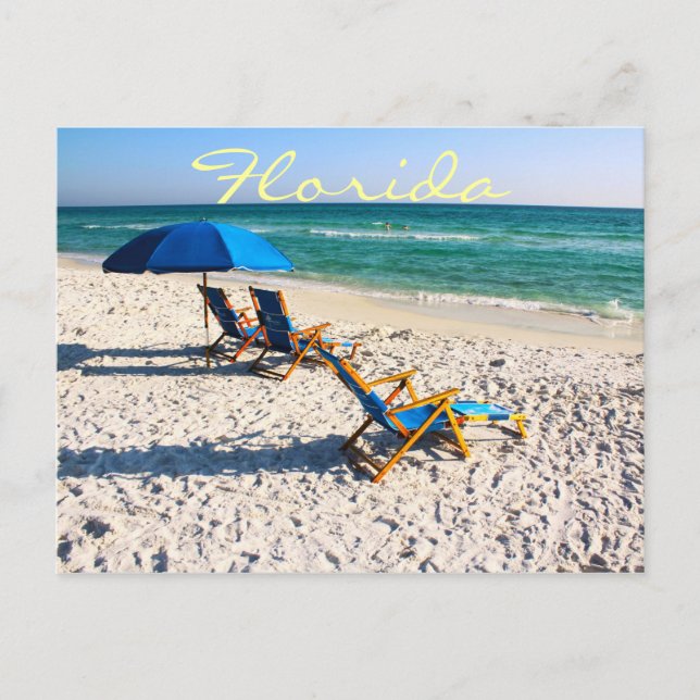 Blue beach chairs in florida postcard (Front)