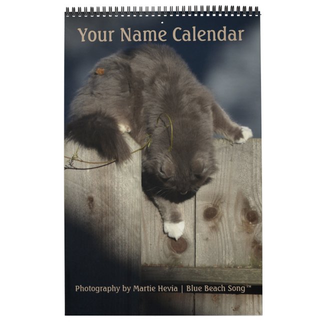 Blue Beach Song™ Photography Calendar (Cover)