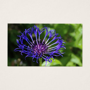 Blue Beauty