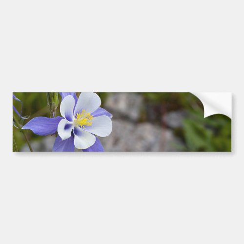 Blue Beauty Bumper Sticker