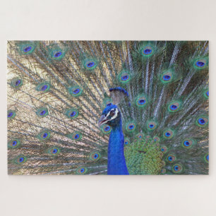 Blue Beauty Peacock Jigsaw Puzzle