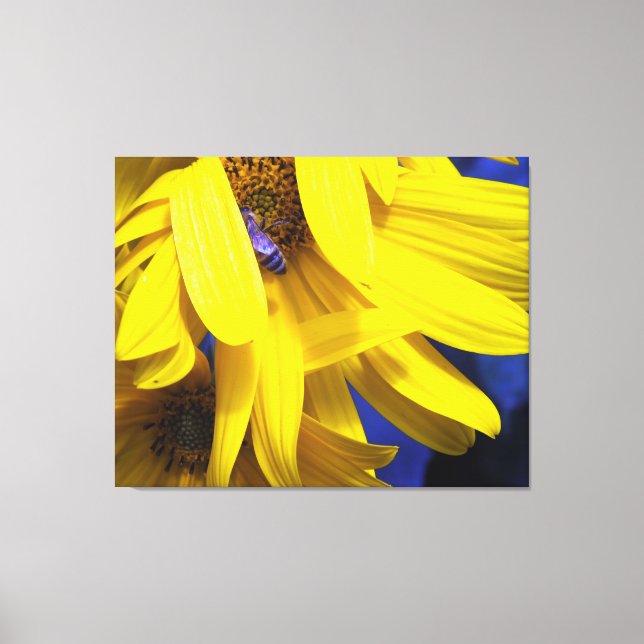Blue Bee On Yellow Sunflower Wrapped Canvas Print (Front)