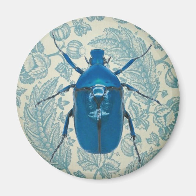 Blue Beetle on Feathery Blue Leaves Magnet (Front)