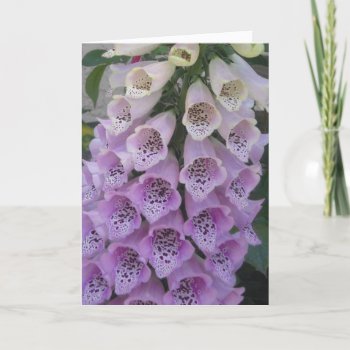 Blue Bell Birthday Card by Rinchen365flower at Zazzle