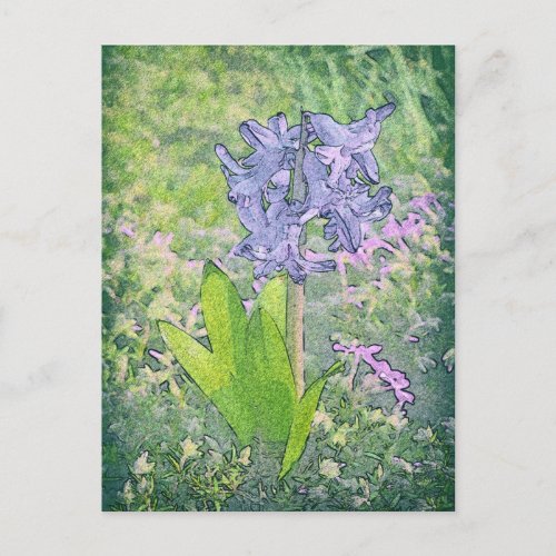 Blue Bell Flower Spring Nature  Britain Postcard