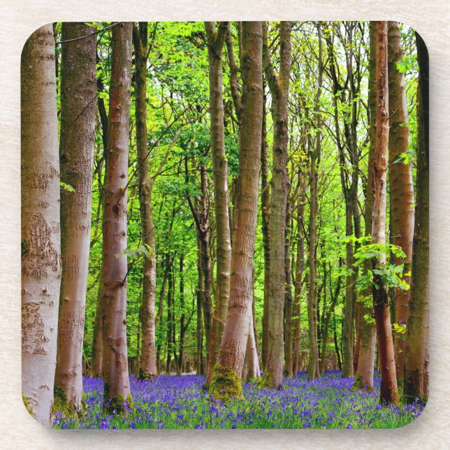 Blue Bells in the Spring Beverage Coaster (Front)