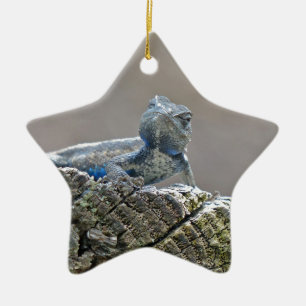 Blue Belly Alligator Lizard Ceramic Ornament