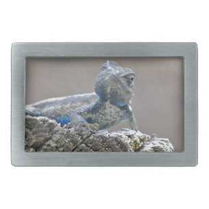 Blue Belly Alligator Lizard Rectangular Belt Buckle