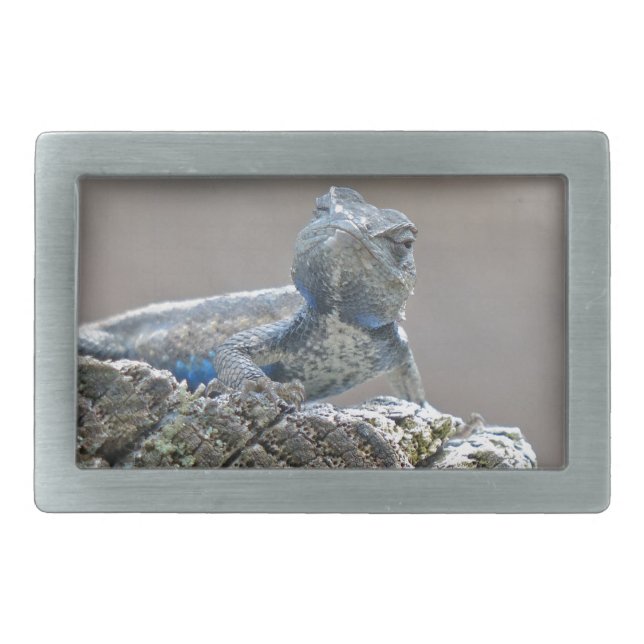 Blue Belly Alligator Lizard Rectangular Belt Buckle (Front)