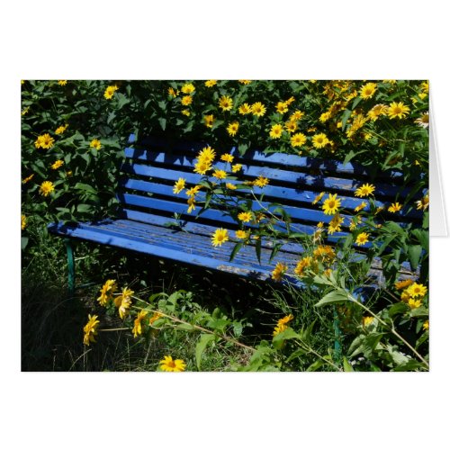 blue bench