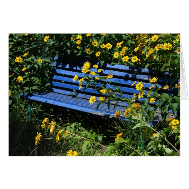 blue bench cards (Front Horizontal)