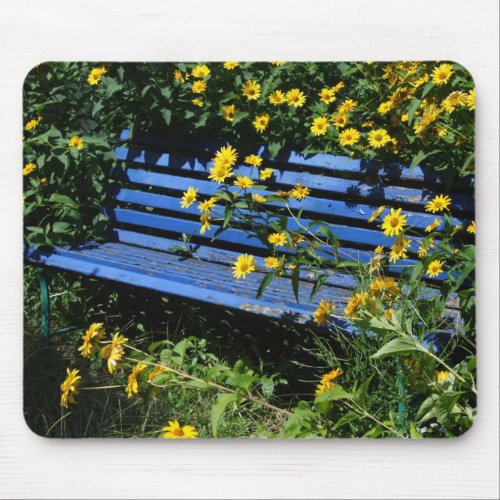 blue bench mouse pad