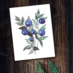 Blue Berries Fruit Watercolor Artwork Postcard