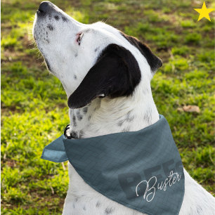 Blue Best Friends Custom Name Pet Bandana