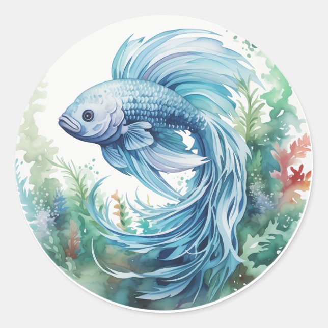 Blue Beta Fish Green Seaweed Classic Round Sticker (Front)