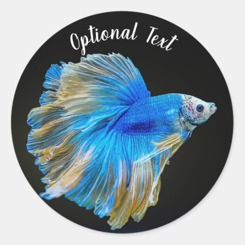 Blue Betta Fighting Fish Classic Round Sticker