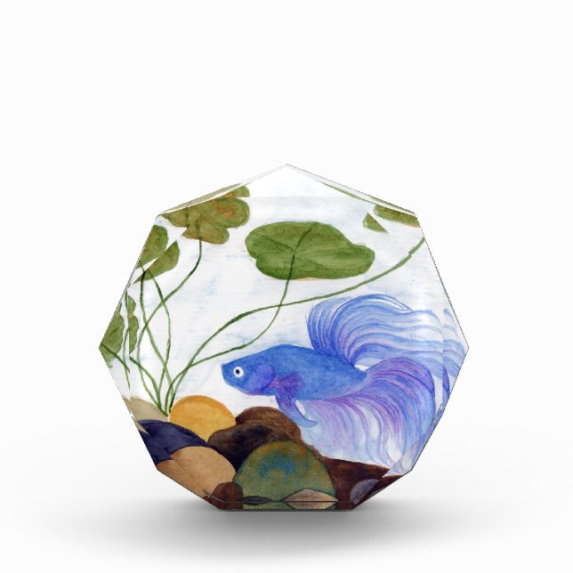 Blue Betta Fish Acrylic Award (Front)