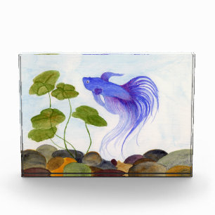 Blue Betta Fish Award