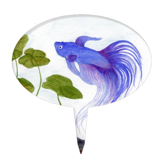 betta fish cake