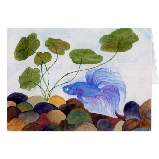 Blue Betta Fish Cards (Front Horizontal)