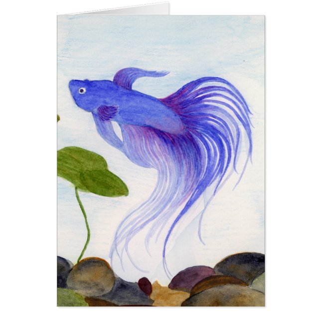 Blue Betta Fish Cards (Front)