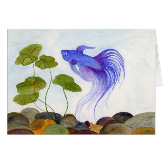 Blue Betta Fish Cards (Front Horizontal)