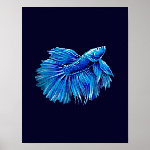Blue Betta Fish on Navy Aquarium Lover Poster