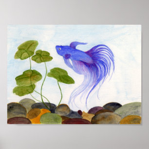 Blue Betta Poster