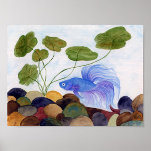 Blue Betta Poster