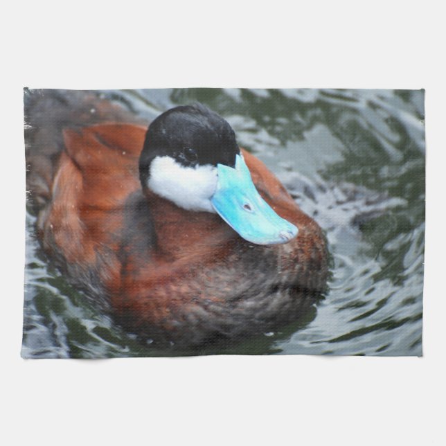 Blue Billed Duck Kitchen Towel (Horizontal)