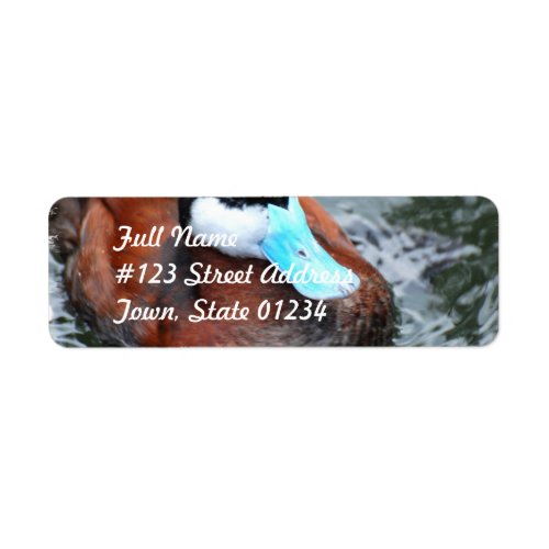 Blue Billed Duck Mailing Label